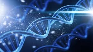Astrobiologia: A Busca por Vida no Universo